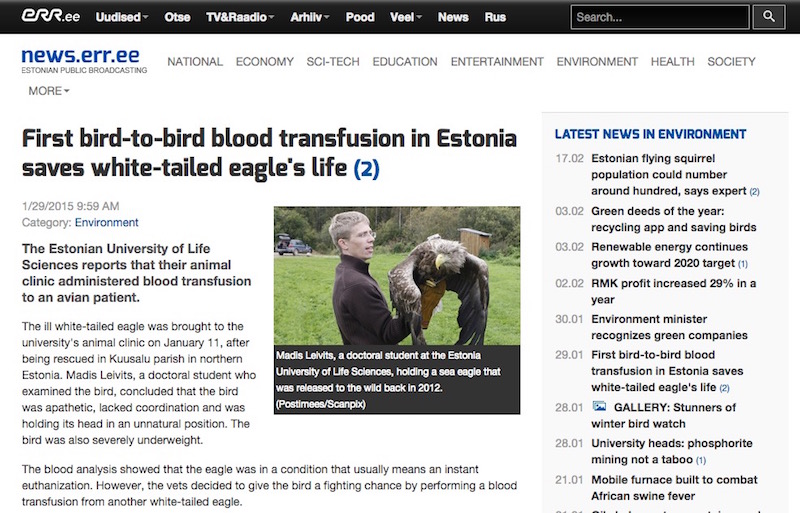 First bird-to-bird blood transfusion in Estonia